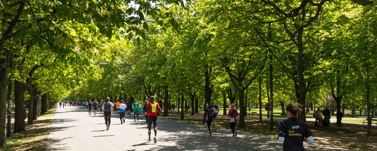 Start beim VCM-pop-up-run